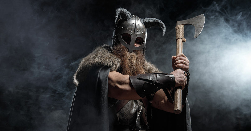 l'histoire des viking