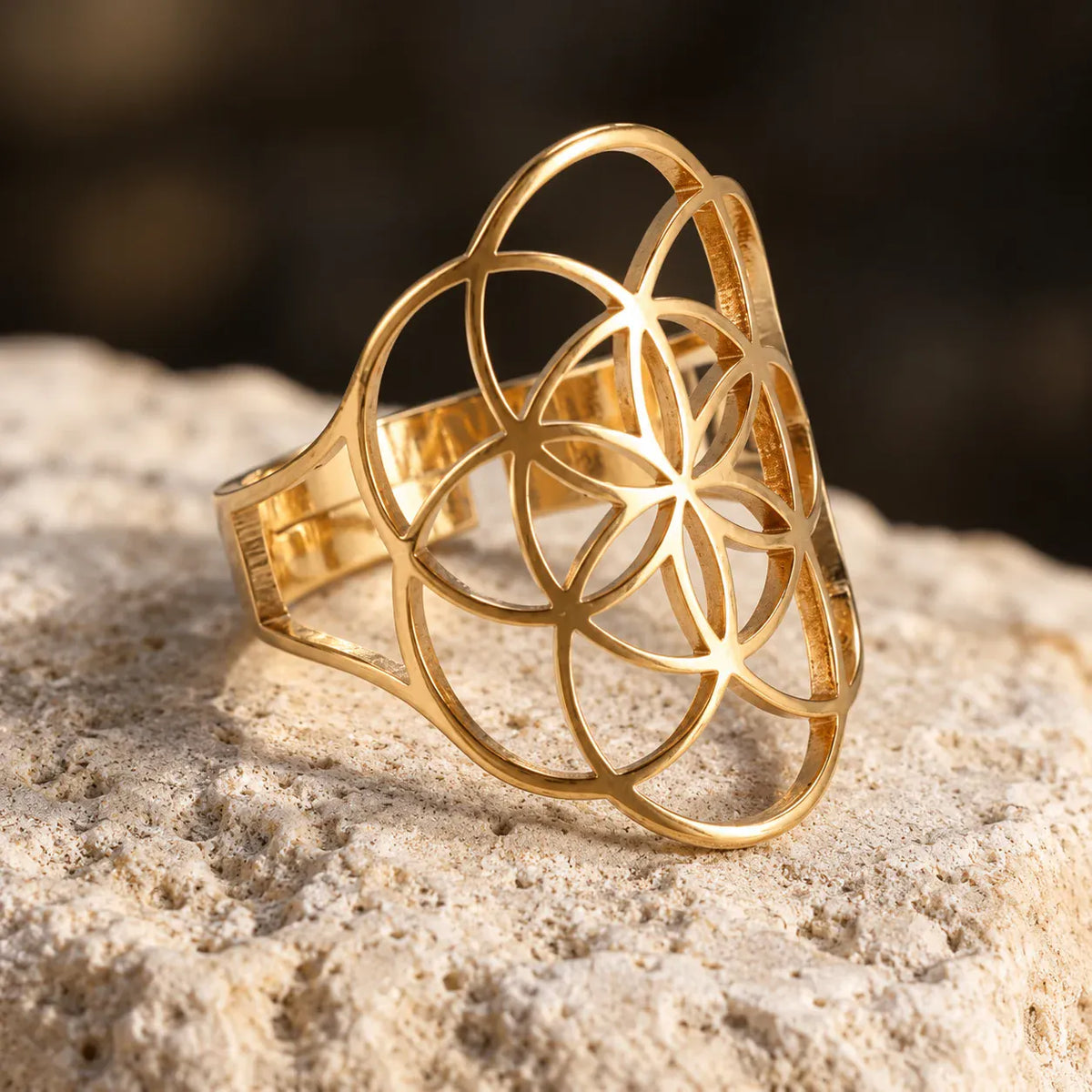 Bague Graine de Vie Ajourée