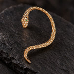 Bijou d'Oreille Serpent à Queue Effilée - Vignette | Médiéfan