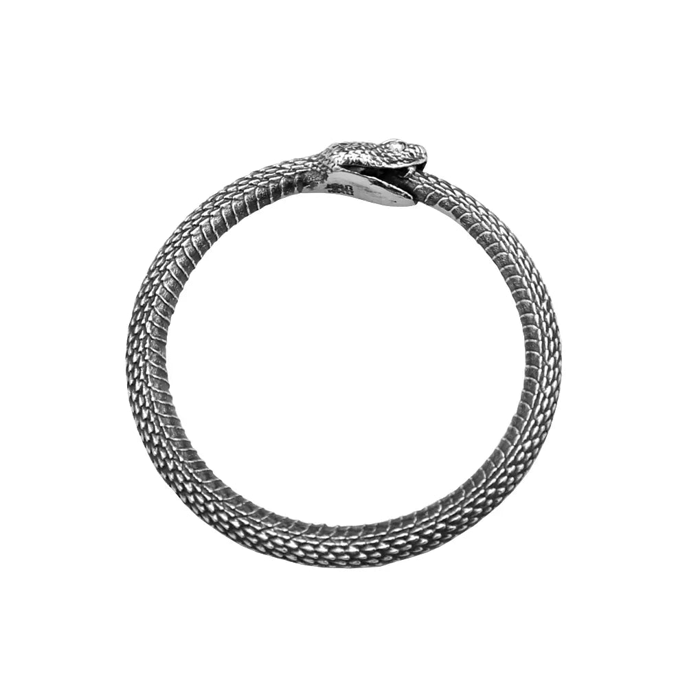 Collier Anneau Ouroboros Pendentif seul
