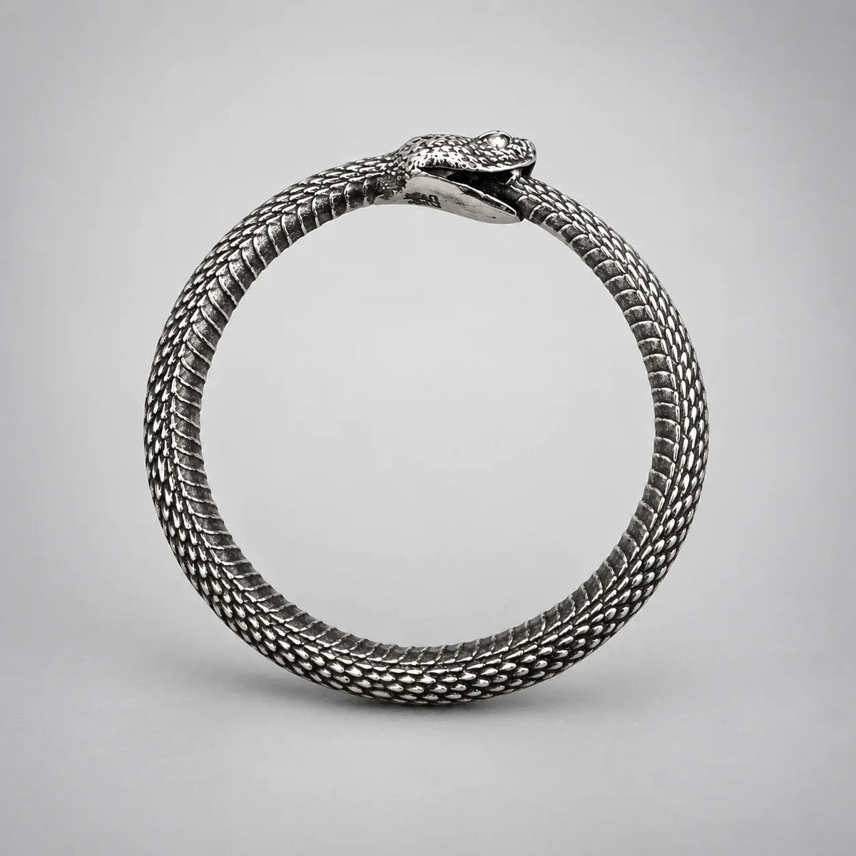 Collier Anneau Ouroboros Pendentif seul