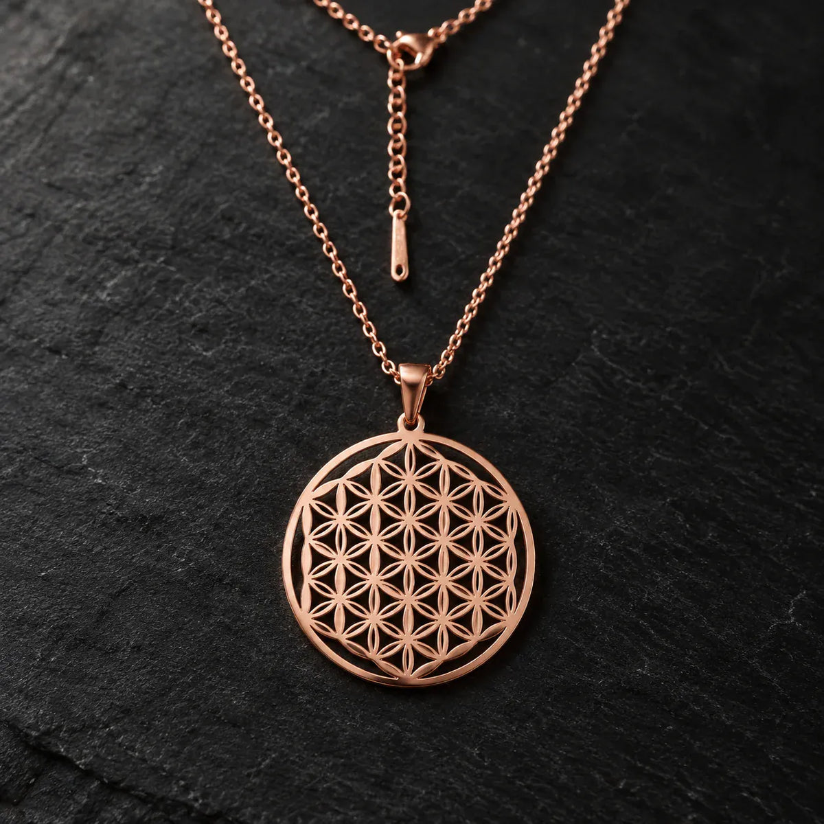 Collier Fleur de Vie Cerclée Ajourée