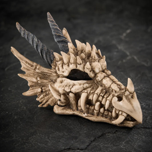 Crâne de Dragon Tirelire