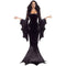 Robe Gothique Longue à Traîne Coupe A / XL